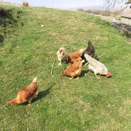 Ginger And Wood Bed & Breakfast